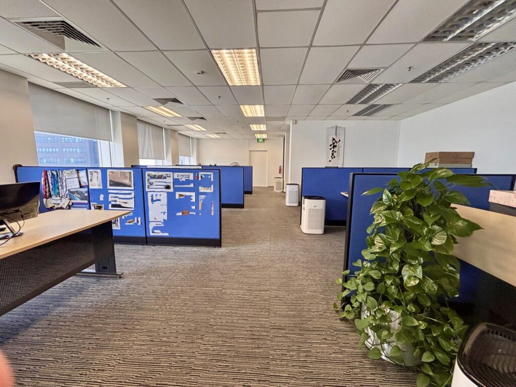 Open-plan office with blue cubicle dividers, desks, a potted plant, and overhead fluorescent lighting. Large windows line the left wall, and some cubicles display papers and photos.