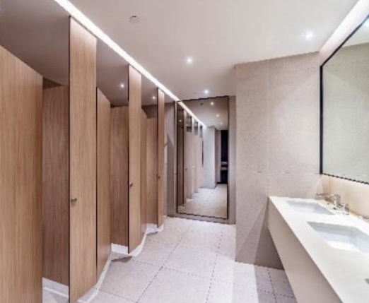 Robinson Road – Fitted Office – Washroom