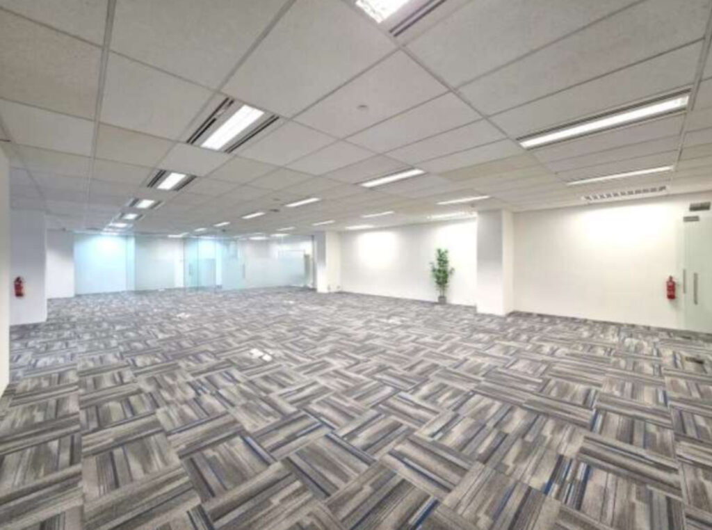 Empty modern office space with patterned carpet, white walls, glass partitions, ceiling lights, fire extinguishers, and a single potted plant in the corner.
