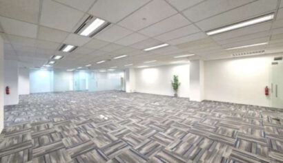 Empty modern office space with patterned carpet, white walls, glass partitions, ceiling lights, fire extinguishers, and a single potted plant in the corner.