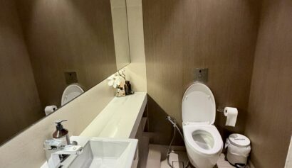 Modern restroom with a white washbasin, soap dispenser, and mirror on the left, and a toilet, bidet sprayer, toilet paper, and rubbish bin on the right.