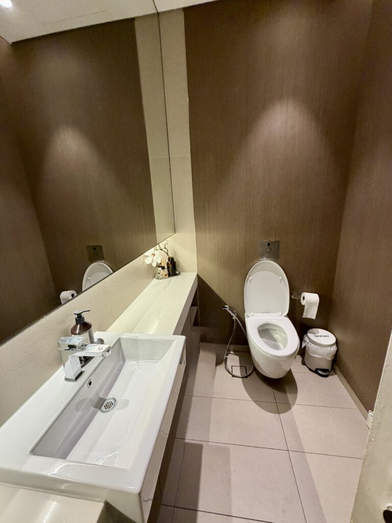 Modern restroom with a white washbasin, soap dispenser, and mirror on the left, and a toilet, bidet sprayer, toilet paper, and rubbish bin on the right.