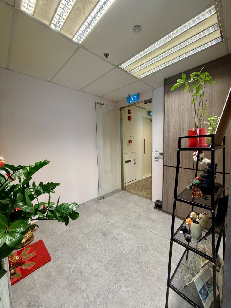 An office corridor featuring a green plant in the foreground, an exit sign above a glass door, and a black metal shelving unit displaying various small decorative items.